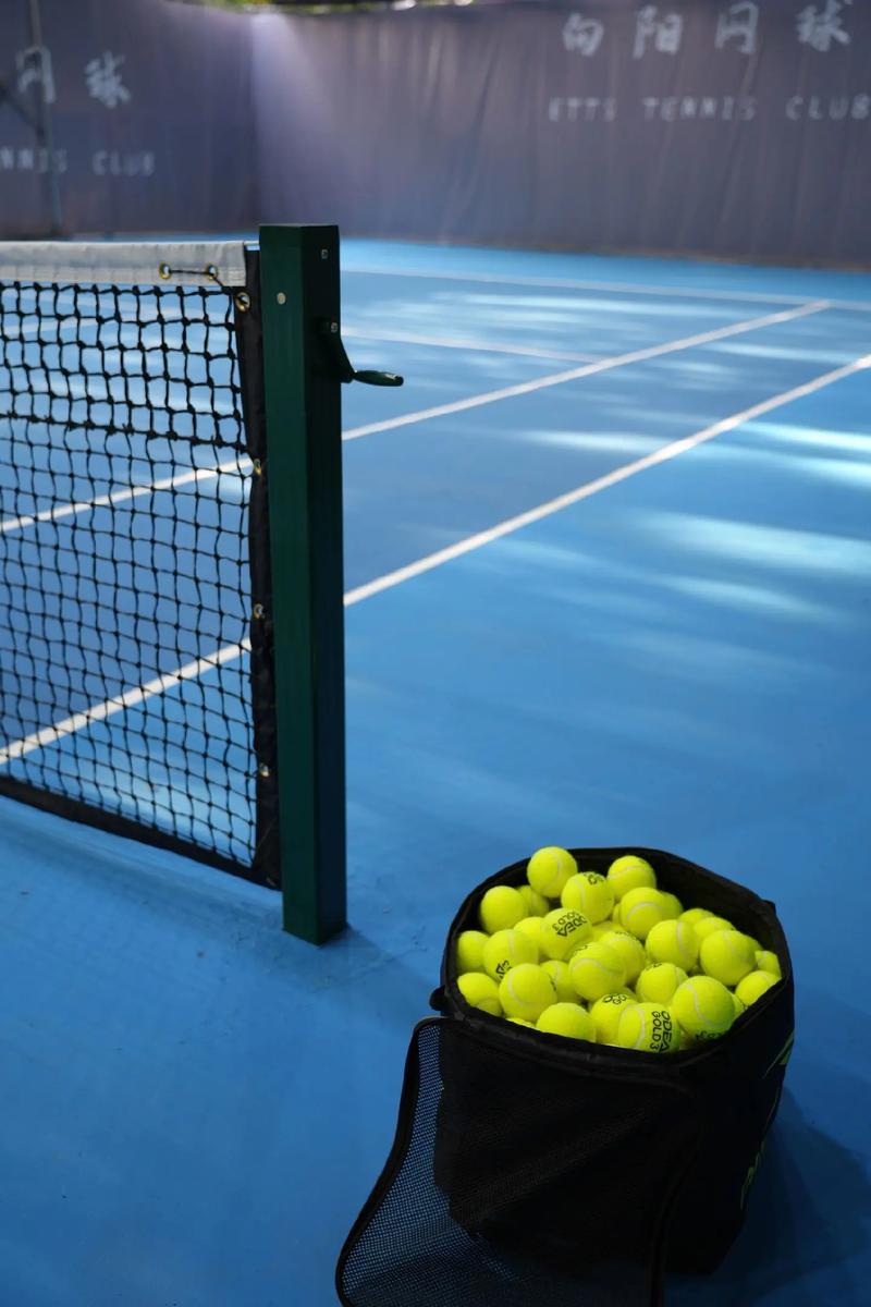 价值保护 价值保护